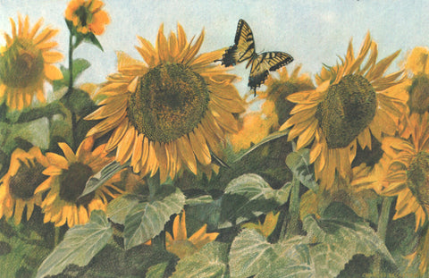 I - 58  Butterfly And Sunflowers
