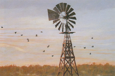 TQ - 26 South Texas Windmill