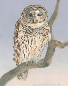 V-43  Barred Owl