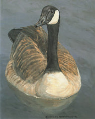V 49 Canada Goose Charles Beckendorf Gallery