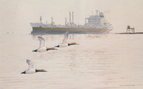 TQ - 18  Ship/Ducks