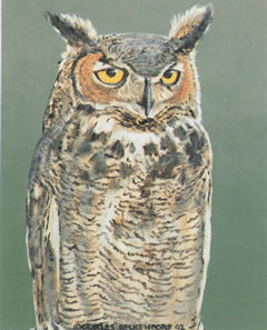 V-40  Great Horned Owl