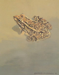 V-72  Leopard Frog