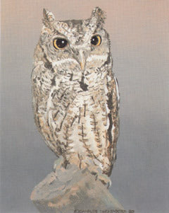 V-41  Screech Owl